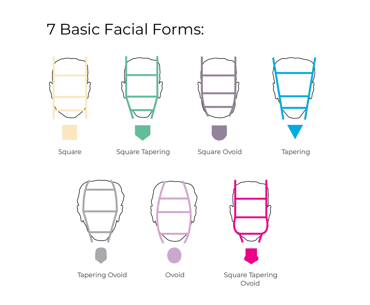 Facial Forms 