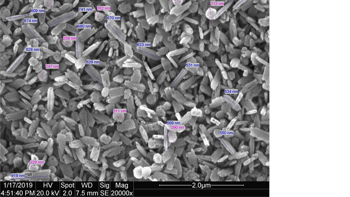 Microestructura de CEREC Tessera