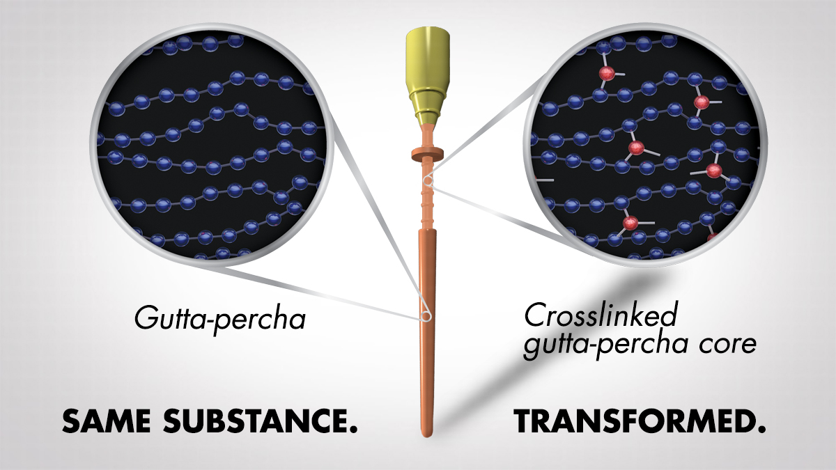 Núcleo de gutapercha reticulada de GuttaCore®