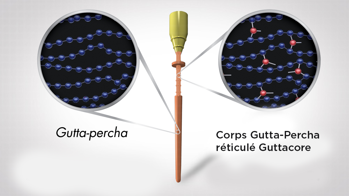 Noyau de gutta-percha réticulé GuttaCore